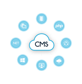 Content management system (CMS)